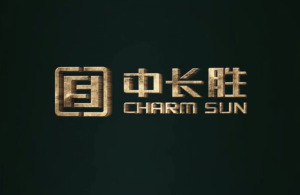 紅瓜子文化傳媒- 中長勝企業形象片_金融類企業宣傳片丨企業宣傳片案例