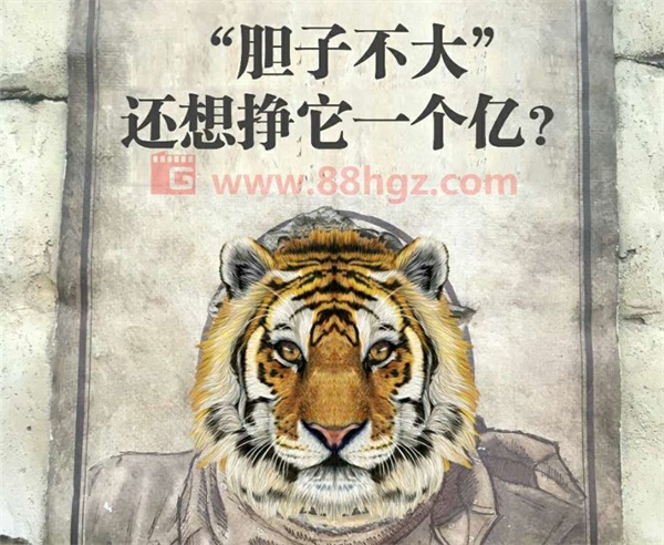 還能更高嗎？與迪瑪希共鳴的，是我們追隨企業(yè)宣傳片的信仰